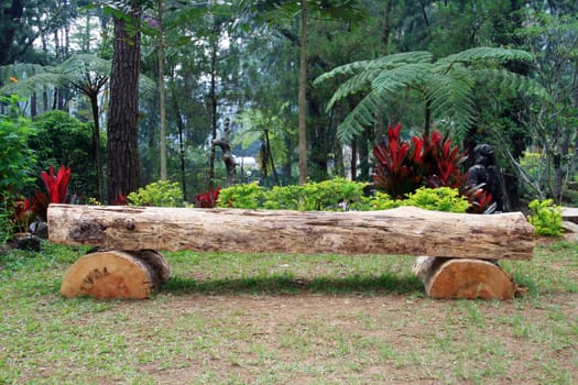 a wooden bench at a botanical garden

