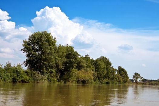 Hot summer day. On the bank of the river - the trees. A blue sky. Travel and Recreation summer in nature is very useful for health.