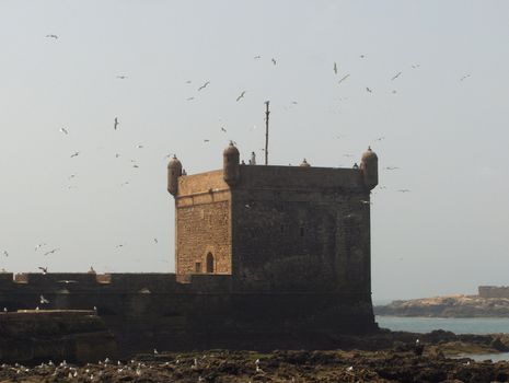 A fort on a harbor in Essaouria, Morocco