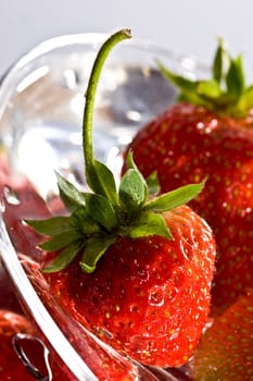food series: fresh ripe red strawberry on the plate