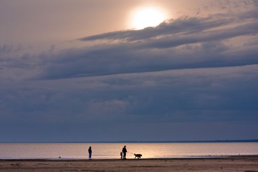 Evening walk at the Finnish bay coast near St.Petersburg, Russia