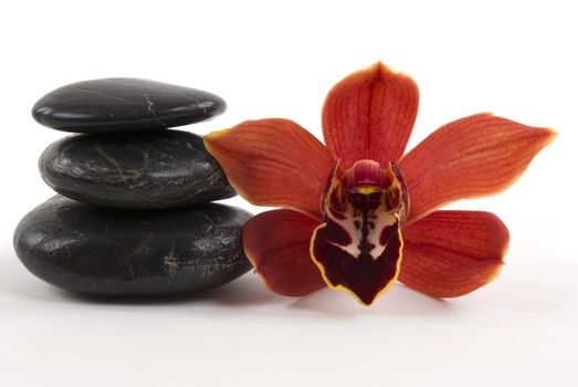 Beautiful orchid petal and pebbles