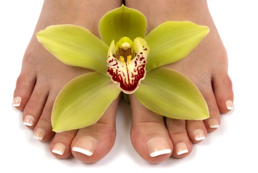 Pedicured feet with beautiful fresh orchid