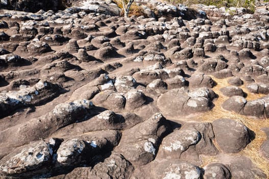 Rocky ground button that occurs naturally