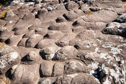 Rocky ground button that occurs naturally