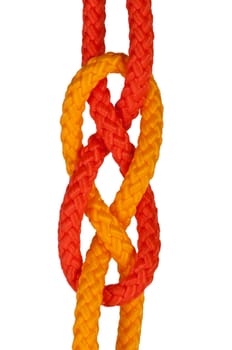 strong knot tied by a rope isolated on a white background