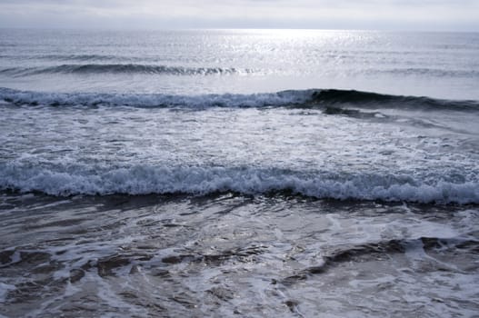 High resolution image. Beach of sea of Japan in Russia. Coastal fading.