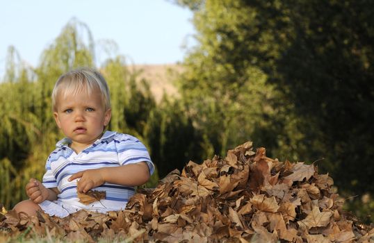 Infant sitting in a pile of dried leaves in the fall