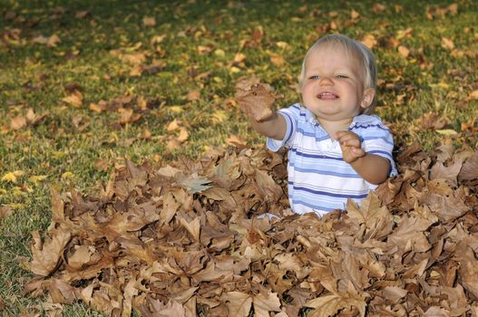 Infant playing in the leaves during fall