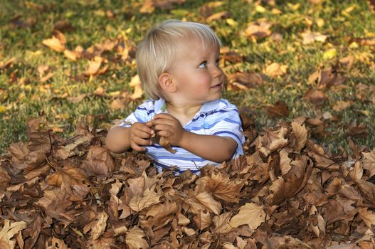 Infant playing in a heap of leaves during fall