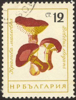 The scanned stamp. The Bulgarian stamp. Mushrooms from forest.
