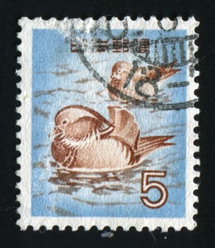 JAPAN - CIRCA 1962: Birds of Japan, circa 1962.