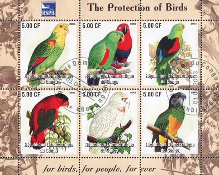 CONGO -CIRCA 2003: Six stamps with parrots, circa 2003.