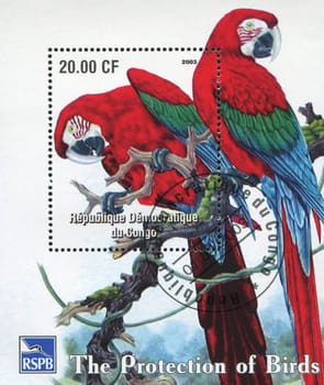 CONGO -CIRCA 2003: Six stamps with parrots, circa 2003.