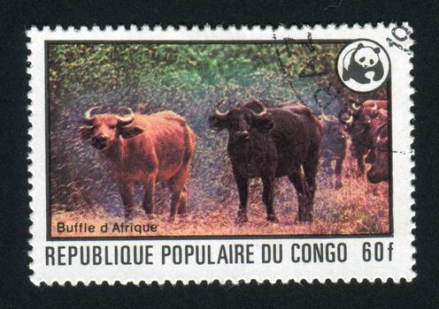 CONGO - CIRCA 1978: Endangered animals and Wildlife Fund Emblem. African Buffalos, circa 1978.