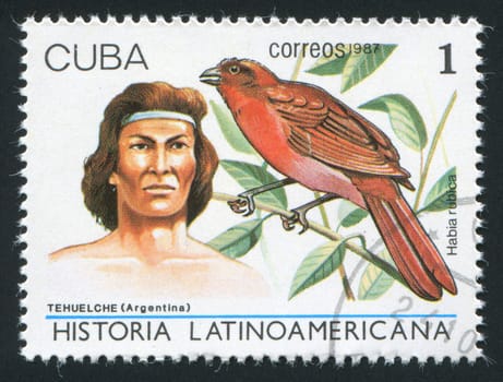 CUBA - CIRCA 1987: Latin American History, Indians and birds. Tehuelche Indian of Argentina, Habia rubica, circa 1987.