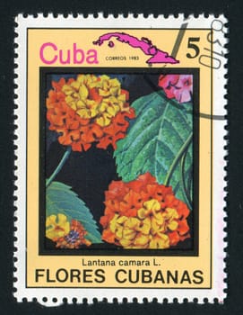 CUBA - CIRCA 1983: Latin Beautiful tropical flower, circa 1983.