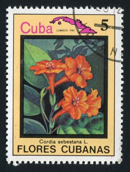 CUBA - CIRCA 1983: Latin Beautiful tropical flower, circa 1983.