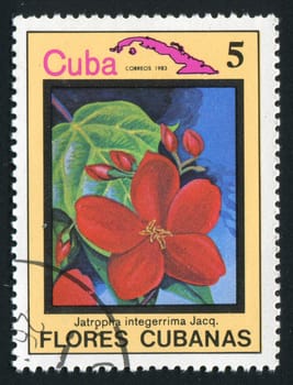 CUBA - CIRCA 1983: Latin Beautiful tropical flower, circa 1983.