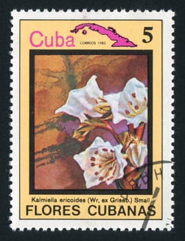 CUBA - CIRCA 1983: Latin Beautiful tropical flower, circa 1983.
