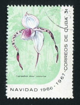 CUBA - CIRCA 1967: Latin Beautiful tropical flower, circa 1967.