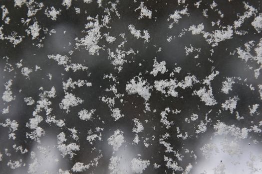 Fresh snowflakes on a window, makes a nice winter background.
