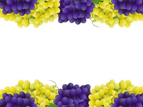 Vector image of violet and yellow grape with green leaves