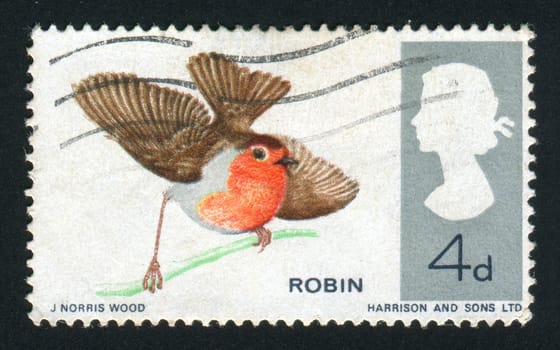 GREAT BRITAIN - CIRCA 1966: Birds of the Great Britain. Robin, circa 1966.