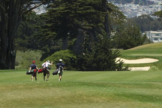 three Golfers walking the course
