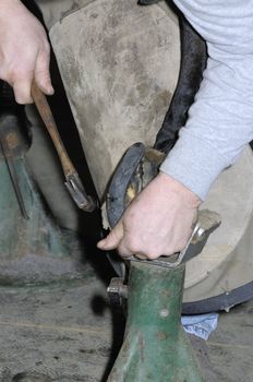 Farrier cleaning hot horse shoe ready for mounting on horses hoof