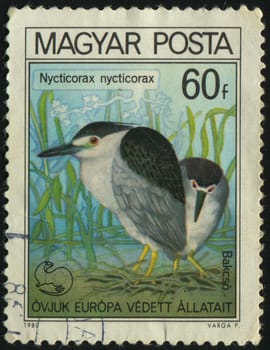 HUNGARY - CIRCA 1980: Black-crowned night heron, circa 1980.