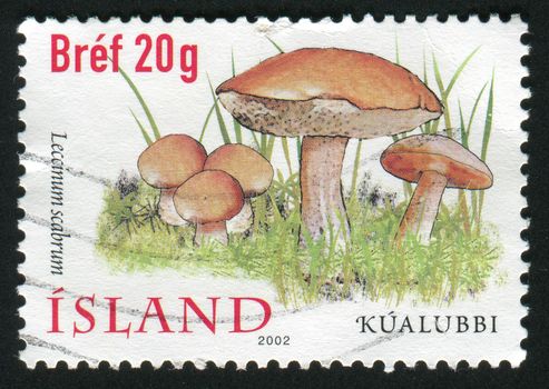 ICELAND - CIRCA 2002: Birch bolete is an edible mushroom in the family Boletaceae, circa 2002.