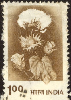 The scanned stamp. The Indian stamp. Plant with a white flower.