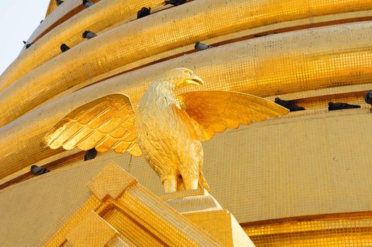 golden eagle