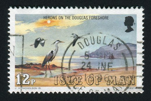 ISLE OF MAN - CIRCA 1983: Herons, Douglas Foreshore, circa 1983.
