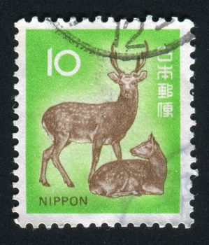 JAPAN - CIRCA 1962: side The male a deer with a female, circa 1962.