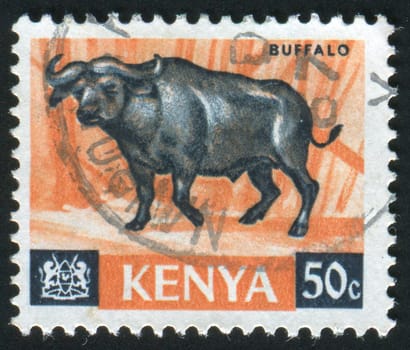 KENYA - CIRCA 1964: Animals. Thomson�s gazelle, circa 1964.
