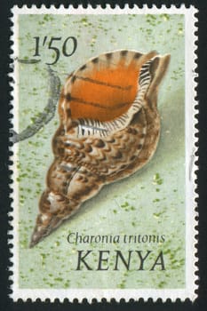 KENYA - CIRCA 1971: Gastropod shell is a shell which is part of the body of a gastropod or snail, circa 1971.