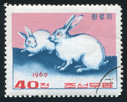 NORTH KOREA - CIRCA 1969: Two white rabbits play, circa 1969.