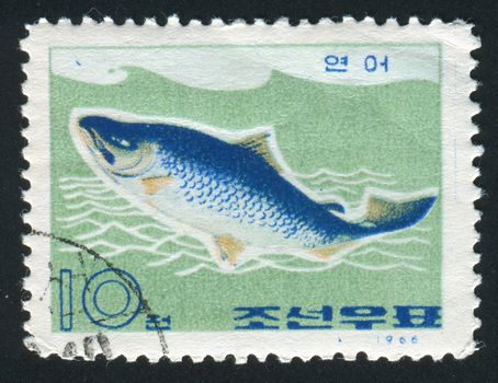 NORTH KOREA - CIRCA 1966: Fish floats in water, Tokyo, circa 1966.