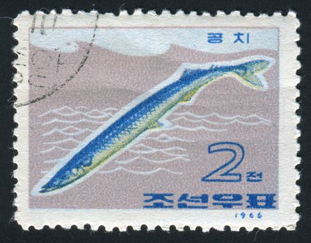 NORTH KOREA - CIRCA 1966: Fish floats in water, Tokyo, circa 1966.