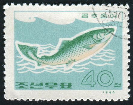 NORTH KOREA - CIRCA 1966: Fish floats in water, Tokyo, circa 1966.