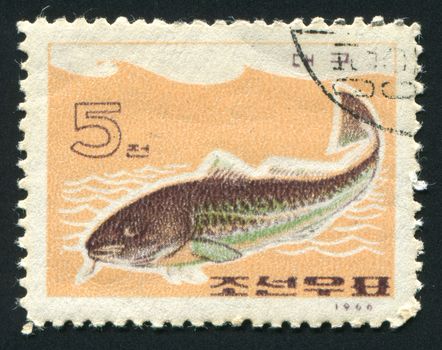 NORTH KOREA - CIRCA 1966: Fish floats in water, Tokyo, circa 1966.