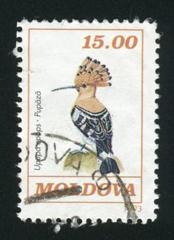 MOLDOVA - CIRCA 1993: Bird on a branch, circa 1993.