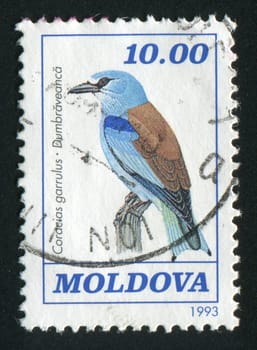 MOLDOVA - CIRCA 1993: Bird on a branch, circa 1993.