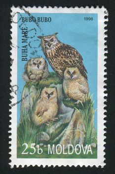 MOLDOVA - CIRCA 1998: owl. Bird on a branch, circa 1998.