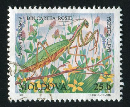 MOLDOVA - CIRCA 1997: Insects on plants, flowers. Mantis religiosa, circa 1997.
