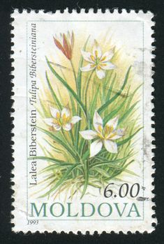 MOLDOVA - CIRCA 1993: Flowers. Pyrameis atalanta, circa 1993.