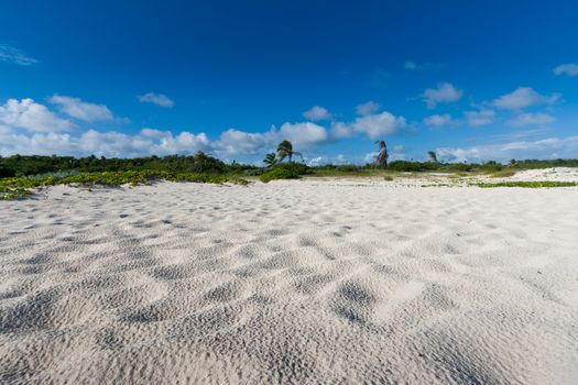 Beautiful beach and  waves of Caribbean Sea. Riviera Maya, Mexico