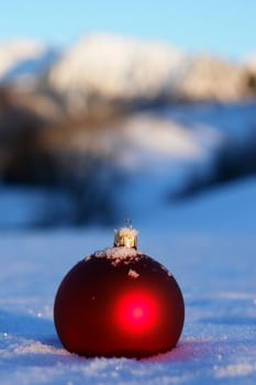 Christmas ornament hanging on a pine tree outside in the snow